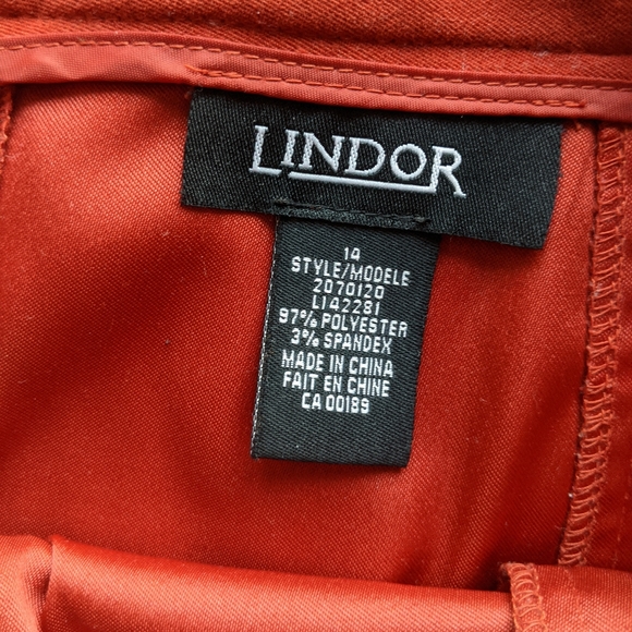 Vintage Burnt Orange Lindor A-line Skirt - Picture 5 of 7